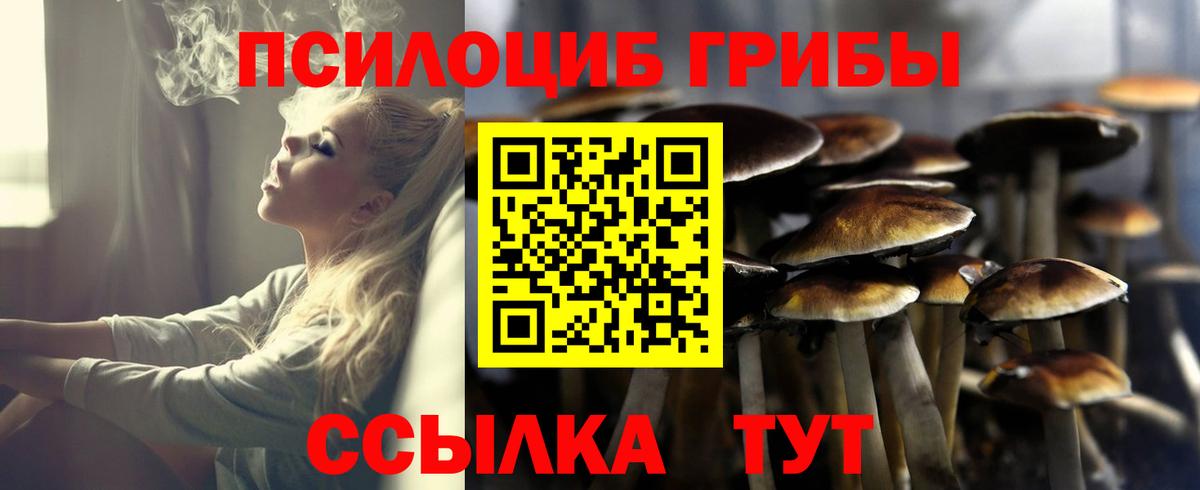 Псилоцибиновые грибы Psilocybe  Вход с VPN  Галлюциногенные грибы GOLDEN TEACHER  Прокопьевск 
